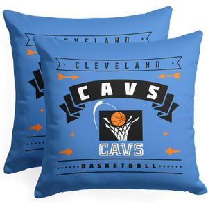 Northwest Pillow 18inch 2 Packs