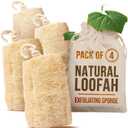 CraftsOfEgypt Natural Loofah Sponge Egyptian Luffa Body Scrubber Pack of 4 for Men & Women, Natural Bath & Shower Loofah Exfoliator, All Natural Loofah Sponges for Face Back & Body, 6" x 6"