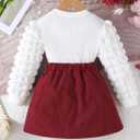 Toddler Girls Clothes Sets: Puff Sleeve Tops Plaid Mini Skirts Skirt Set 2 Piece Fall Winter Outfits 2-8 Years (5T, Wine Red)