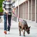 6 FT Dog Leash with 2 Padded Handle Nylon Reflective Dogs Leashes for Small Medium Large Dogs Pink
