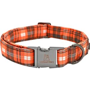 Lionheart Glory Premium Fall Dog Collars Thanksgiving Holiday Collar Dog Heavy Durable Comfortable Adjustable Dog Collar for Large Collar Dogs Boys Dog Collar Cute Collars Pet Gift (Large (Pack of 1)