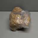 Bearington Theodore Teddy Bear Stuffed Animal - 17" Soft Teddy Bear Plush Toy with Fluffy Fur and Huggable Design - Adorable Classic Cuddly Gift for Kids, Toddlers, and Animal Lovers