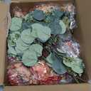 Burnt Orange Peony Artificial Flowers, Fall Faux Peonies Hydrangea Eucalyptus Bouquet 12 Packs Silk Vintage Realistic Peony Floral Arrangement for Wedding Centerpiece Table Vase Autumn Decor