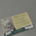 Zentangle Primer Vol 1