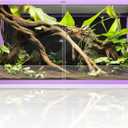 REPTI ZOO 120 Gallon Reptile Terrarium, 4x2x2 ft Light Weight Reptile Enclosure, Colored Reptiles Tank with Tempered Glass Door, Large Aluminum Habitat for Bearded Dragon, Snake, Lizard, Gecko-Purple