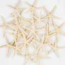 20 PCS Small Starfish for Crafts 2" to 4" Natural Starfish Decor Bulk, for Wedding Beach Theme Decor Home DIY Crafts Decor Christmas Tree Starfish Ornaments