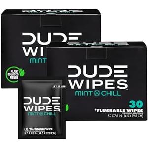 DUDE Wipes On-The-Go Flushable Wet Wipes - 30 Count, Pack of 2 - Mint Chill Extra-Large Individually Wrapped Wipes with Eucalyptus & Tea Tree Oil - Septic and Sewer Safe