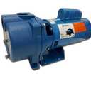 GOULDS Pumps GT20 IRRI-Gator Self-Priming Single Phase Centrifugal Pump, 2 hp, Blue