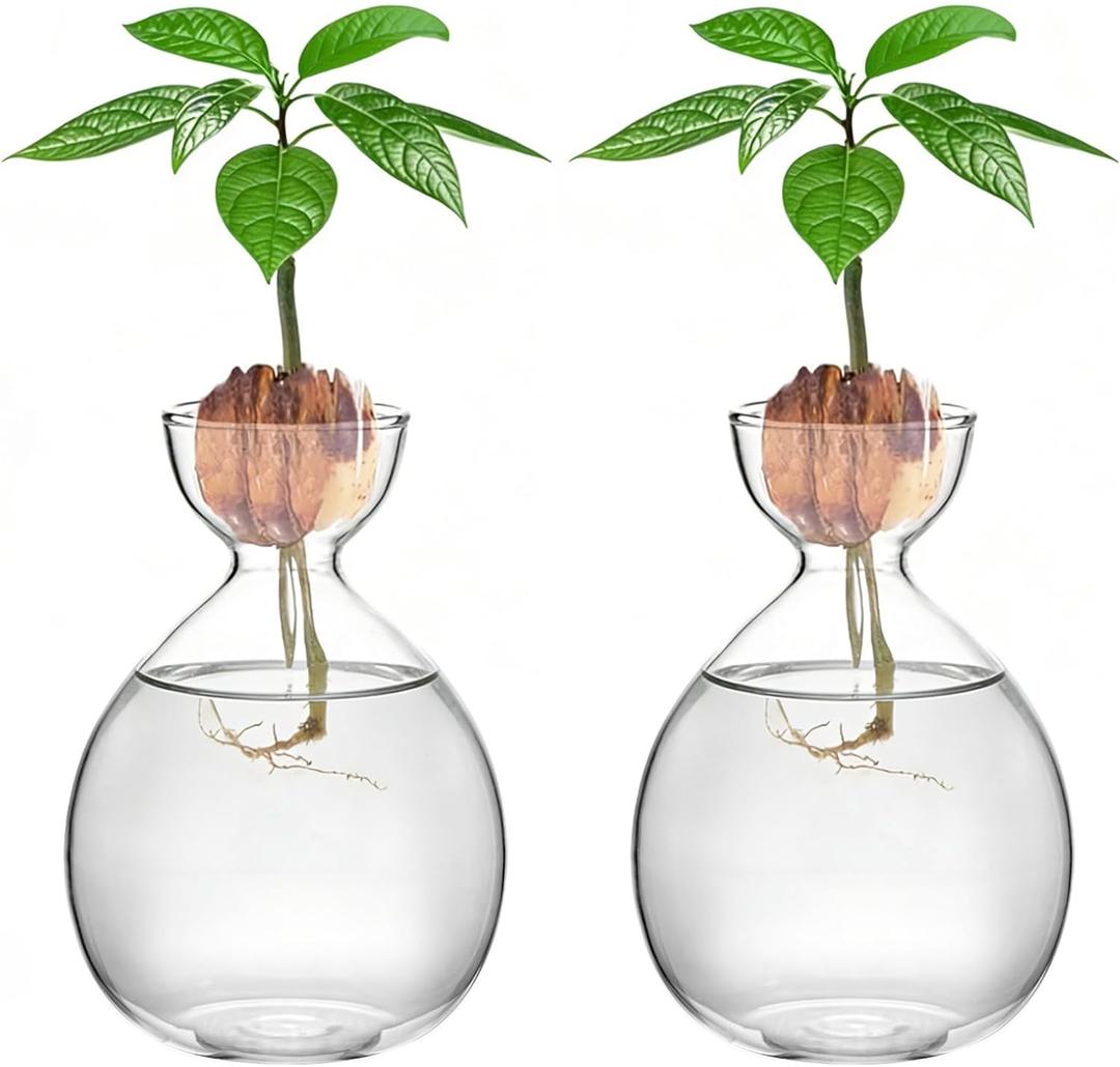 2PCS Avocado Vase Grow Glass Bulb Vases Acorn Seed Starter Vase Avocados Pit Planter Pot for Gardening Lover Indoor Hydroponics