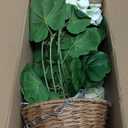 Briful Realistic Geraniums Artificial Hanging Basket for Outdoor, 23.6in Trailing Faux White Geranium Flowers in Handwoven Basket, UV Resistant Outdoor & Indoor Decor, Home Farmhouse Patio, Wedding