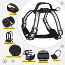 Rechargeable LED Dog Harness Multi-Color Light Up Glow Dark Vest with Reflective Strips, Waterproof Adjustable Soft Mesh Safety Harness for Small Medium Large Dogs Night Walking-Large