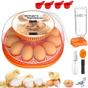 Incubators for Hatching Eggs, 12 Egg Incubator with Automatic Egg Turning and Temperature Control, Automatic Water Adding, LED Egg Candler, for Hatching Chickens, Duck, Quail, Goose Eggs (Orange)