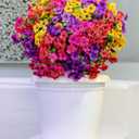 12-Pack Fake Mums Plants Artificial Fall Flowers for Outdoor Indoor Porch Yard Garden Decor, Faux Flower Daisy with Eucalyptus Leaves Boxwood Porch Patio (Daisy-4 Colors Mixed)