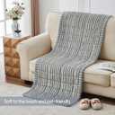 beeweed Couch Covers for Sofa, Couch Covers for Dogs Washable, Non Slip Plush Sofa Slipcovers, Couch Furniture Protector Pet Friendly, Light Grey, 27.6” x 70.9”