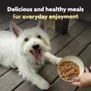 Cesar Filets in Gravy Adult Wet Dog Food Variety Pack, Filet Mignon, New York Strip and Prime Rib Flavors, 3.5 oz. Easy Peel Trays, Variety Pack, 24 Count