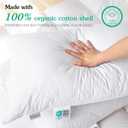 Three Geese White Goose Feather Cotton Pillows Queen Size Set of 2 - Soft 600 Thread Count Organic Cotton Cover, Soft Goose Feather Down Pillows for Side and Back Sleepers, 20x28inches