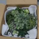 Winlyn 9" Artificial Potted Succulent Plants Arrangement Assorted Faux Succulents in White Round Concrete Planter Fake Succulent Bowl for Home Garden Wedding Centerpiece Mantel Table Greenery Dcor