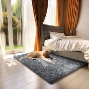 Ophanie Upgrade 2x3 Rugs for Bedroom, Grey, Fluffy Shaggy Soft Area Rug, Gray Non-Slip Indoor Floor Carpet for Living Room, Kids Baby Boys Teen Dorm Home Decor Aesthetic, Nursery, Rug (2x3 Feet, 1-grey)