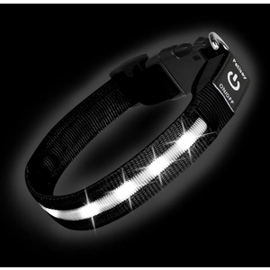 Super Bright LED Dog Collar - Fully Waterproof & Adjustable Glow Collar - USB-C Rechargeable for Night Walking, Safety - Flashing Lighted Collar for Dogs(Medium)