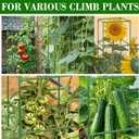 ZeeDix 4 Pack Tomato Cages for Garden 60 Inches, Heavy Duty Square Adjustable Tomato Trellis Cage Climbing Plant Support Trellis Plant Cages for Climbing Vegetables Flowers with 40Pcs Clips