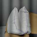 20x20 Pillow Inserts Set of 2  Hypoallergenic Square Pillow Inserts, Oeko-TEX Certified Virgin Fiber Filling, Machine Washable (Purple)