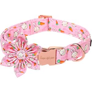 Unique style paws Easter Dog Collar with Flower Tie Rabbit & Carrot Puppy Collar for Small Medium Large Boys Girls-L