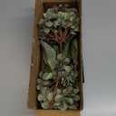 Artificial Flower Fake Silk Hydrangea Heads Bouquet with Stems Bulk for Fall Decoration Table Center Christmas Indoor Outdoor Faux Floral Realistic with Leaves Plants Crafts 8PCS(Brown)