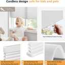 LazBlinds Cordless Cellular Shades, Light Filtering Honeycomb Shades for Home, Thermal Insulation Noise Reduction Blinds for Windows, 31'' W x 48'' H, White