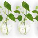 NUPTIO Hanging Planter Wall Terrarium: Glass Plant Holder 4 PCS Water Planting Vases Succulents Container Hydroponics Pots Clear Propagation Station Airplant Display for Office Home Living Room Gifts