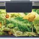 Rubbermaid Brilliance Large Food Storage Container, 9.6 Cup, BPA-Free, Leak-Proof, Clear