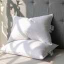 OEKO TEX Goose Feather Down Pillows Queen Size, Luxury Soft Feather Down Pillow for Sleeping, 600TC 100% Cotton Cover Hotel Collection Bed Pillows for Back, Stomach or Side Sleepers 20"x28"