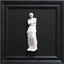FOLKOR LIFE Framed Black and White Wall Art Sculpture Venus de Milo, Greek Roman Mythology Goddess Aphrodite Statue Framed Plaster Relief Wall Decor for Living Room, Hallway, Entryway Decoration