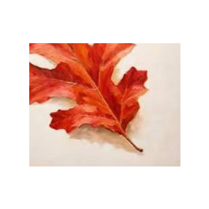 11.8in Clear Wall Sign Leaf Red
