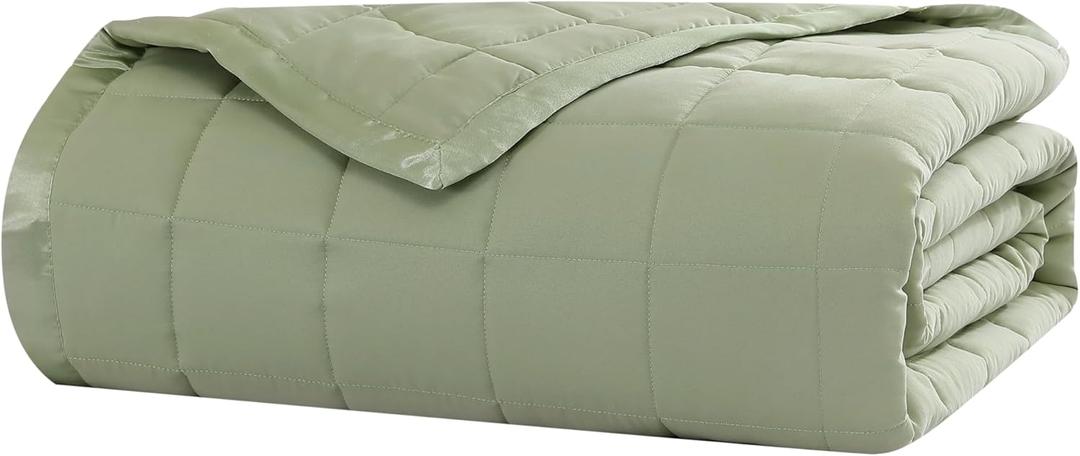Beatrice Home Fashions Down Alternative Solid Color Blanket, Full/Queen, Sage