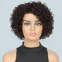 UDU Short Curly Human Hair Wigs For Black Women Dark Brown Human Hair Curly Wigs Non Lace Glueless Wigs Human Hair Side Part Wigs (2#)
