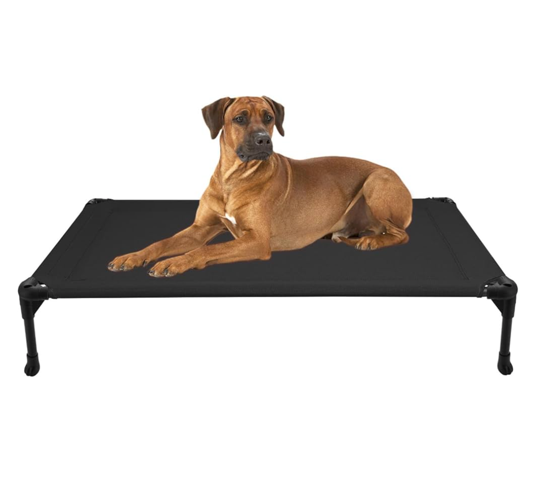 Veehoo Outdoor Elevated Dog Bed Large Sized Dogs, Large Cooling Raised Dog Cots Beds Training Platform Off Ground Hammock with Breathable Mesh, No-Slip Feet, 42"x30", Black