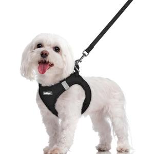 rabbitgoo Dog Harness Small Sized and Leash Set, Step in Soft Light Puppy Vest, Breathable Mesh Pet Harness, Reflective for Safe Easy Walking, Black M (M (chest: 16 - 18.5"))
