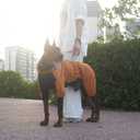 Winter Waterproof Dog Snowsuit  Full Body Outdoor Jacket with Leash Ring, Fleece Lining, Windproof Reflective 4-Leg Dog Coat for Small to Large Dogs Mustard Yellow XXL (XXL (Back Length 19.5"))