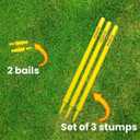 Cricket wickets with bails - Cricket Stumps Made of Wood, Set of 3 Stumps for Cricket with 2 bails, T20 Cricket Wicket, Cricket Stumps