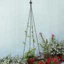 Achla Designs FT-20A Fleur-De-Lis Staked, 58" H Trellis, Black (58-in H)