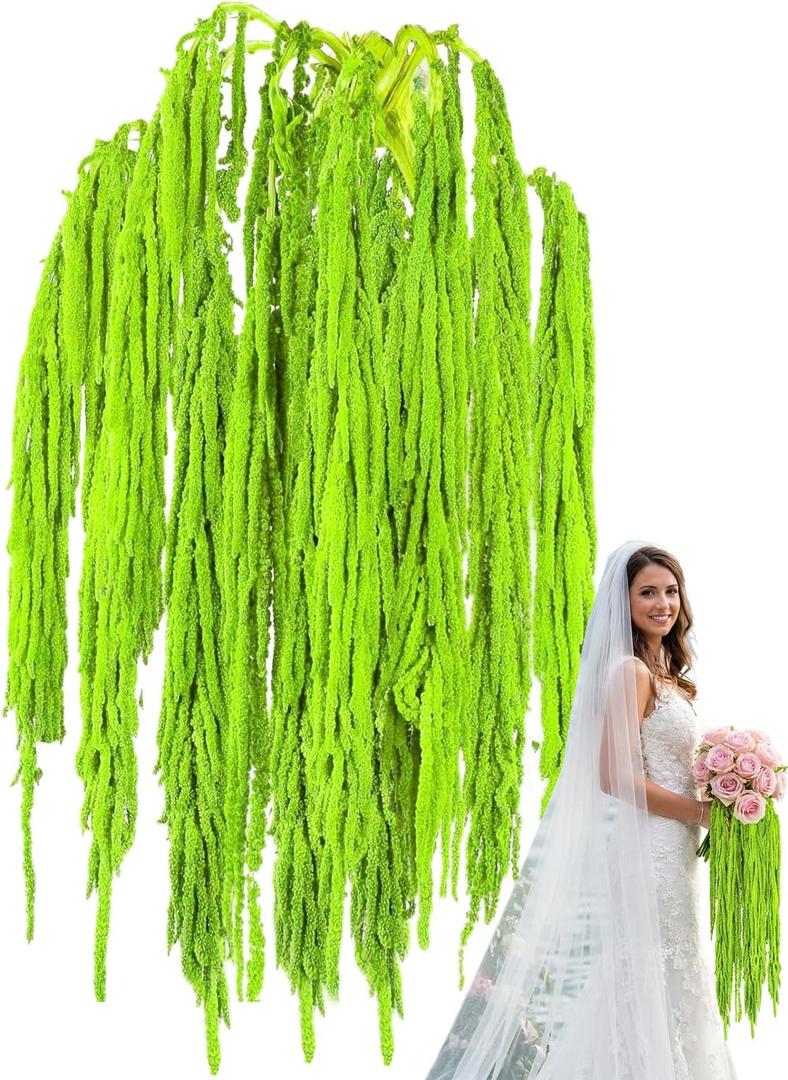 12Pcs 24 Inch Green Natural Dried Amaranthus Hanging Flowers, 100% Pure Preserved, Amaranthus Artificial Flower for Wedding Arch, Floral Garland, Bouquet, Wall Home Decoration