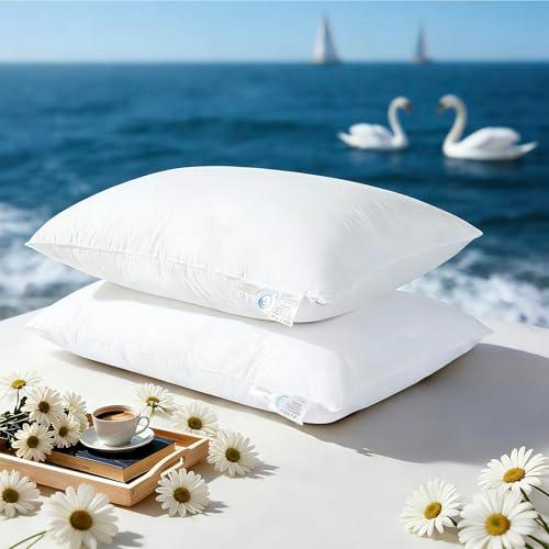 LIANLAM Goose Feather Down Pillows King Size Set of 2, 3-Chamber 5 Star Hotel Pillow for Deep Sleep, Soft Bed Pillows for Neck Pain Relief, Perfect for Side Sleeper, 100% Cotton Shell(2 Pack,20"x36")