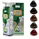 Plant Extract Hair Dye Foam Shampoo for Grey Hair Color, Natural Dyeing for Women and Men (BLACK)
