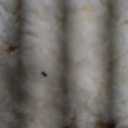 L'AGRATY Chunky Knit Blanket - Soft Chunky Throw 60x80 inches: 100% Hand Kintted Chenile Crochet Throw for Couch - Large Cable Knit Blanket for Home Decor (Ivory)