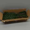 8 PCS 18 Inches Artificial Christmas Norfolk Pine Branch, Natural Touch Norfolk Faux Greenery Pine Stems, Fake Norfolk Picks Christmas Decoratoins for Vase DIY Garland Wreath Xmas Indoor Home Decor
