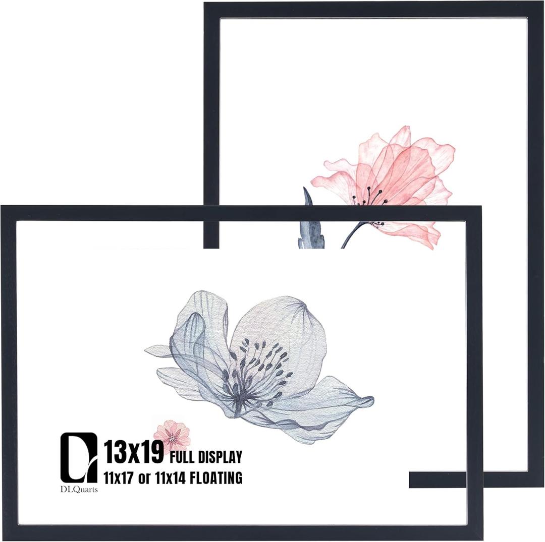DLQuarts 13x19 Floating Picture Frame for 11x17/11x14 Photos, 2-Pack Solid Wood Double Plexiglass Wall Art Frames, Any Size Photo up to 13x19 Display, Black