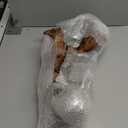 emours Aquarium Driftwood Fish Tank Decoration (XLarge(11 to 14 inches in Length)