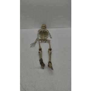 1-Pack 36-Inch Skeleton Halloween Decoration, 3ft Posable Halloween Skeleton Decor with Movable Joints for Lawn, Haunted House, Graveyard, Trunk or Treat, Lifelike Skeleton Model