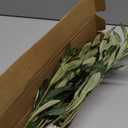 HomeKaren Olive Stems 6 Pcs 18 inch Artificial Olives Green Leaves Picks, Spring Branches Decor for Vase, Greenery Vase Filler Home Decoration Indoor