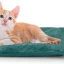 Outdoor Heated Cat Bed, Soft Pet Heating Pad with Steel-Wrapped Cord, Outside Pet Warmer for Feral Cats and Dogs, 15.7" x 11.8", 30 Watts (Green)